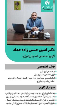 تصویر گالری امین حسن زاده حداد 1